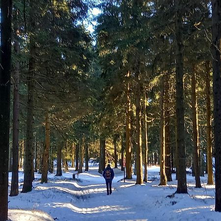 Ferienwohnung Tannenblick 6-2 Oberhof  Zewnętrze zdjęcie